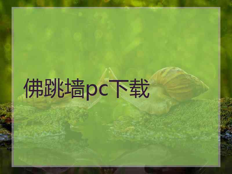 佛跳墙pc下载