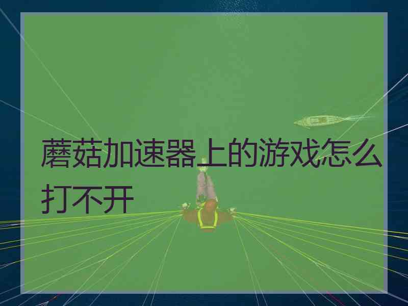 蘑菇加速器上的游戏怎么打不开