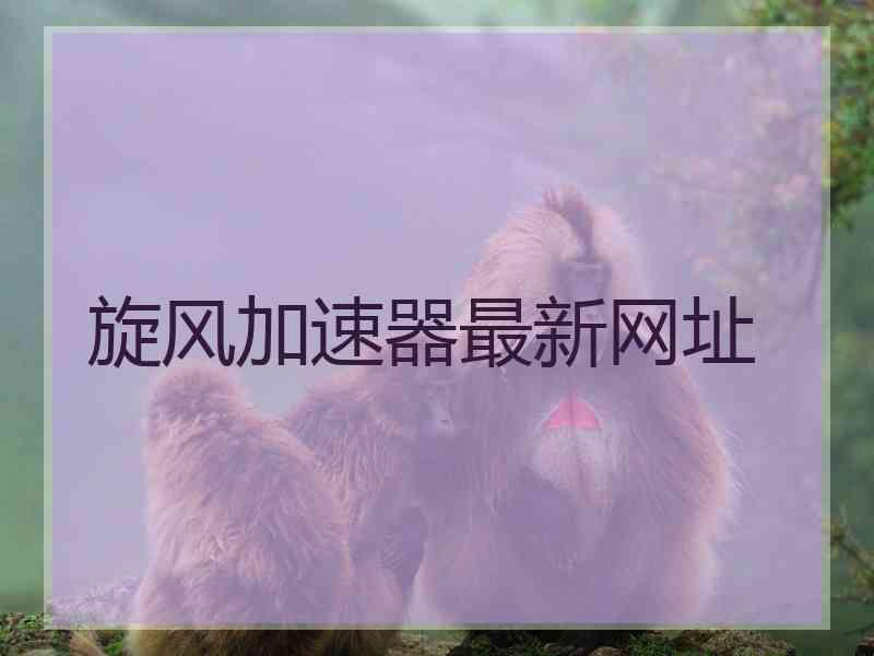 旋风加速器最新网址