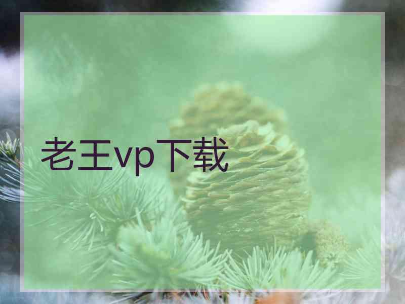 老王vp下载