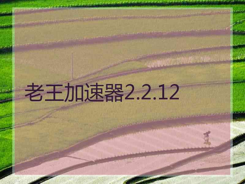 老王加速器2.2.12