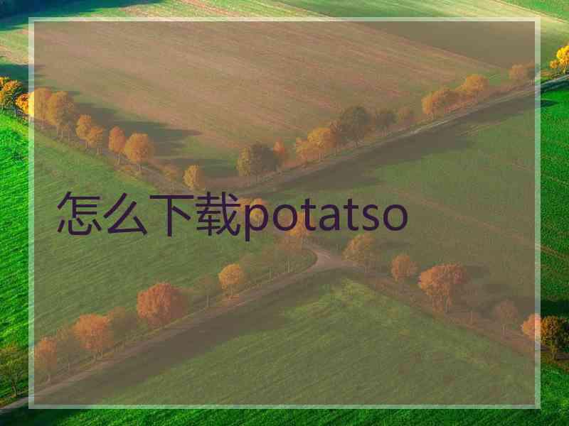 怎么下载potatso