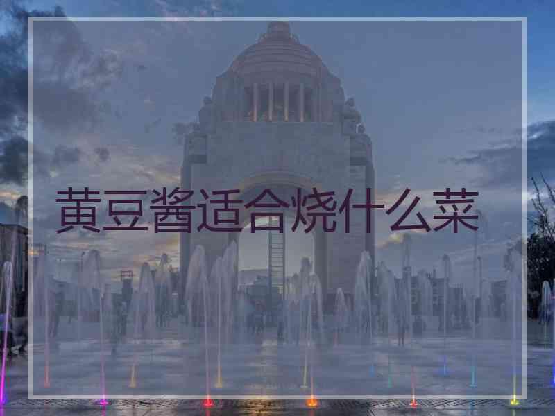 黄豆酱适合烧什么菜