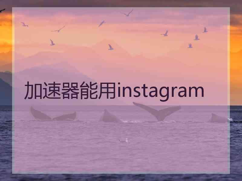 加速器能用instagram