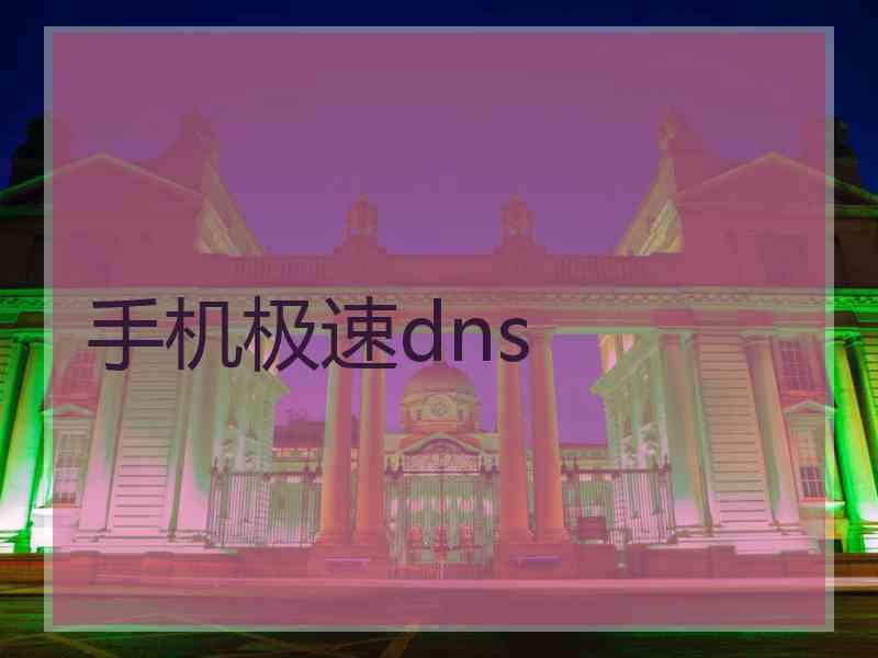 手机极速dns