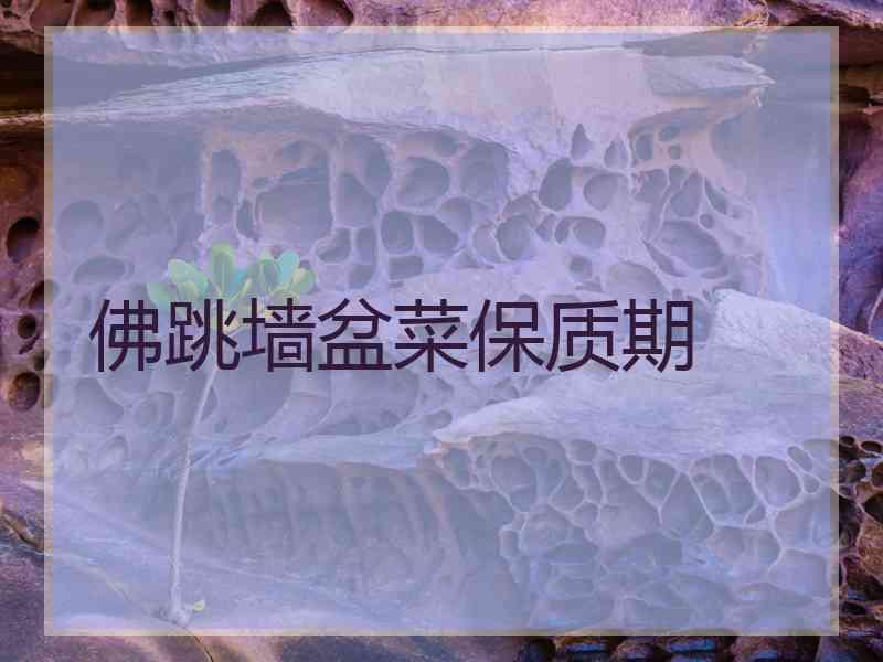 佛跳墙盆菜保质期