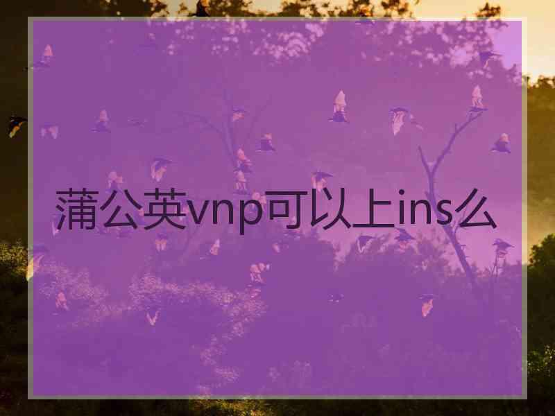 蒲公英vnp可以上ins么