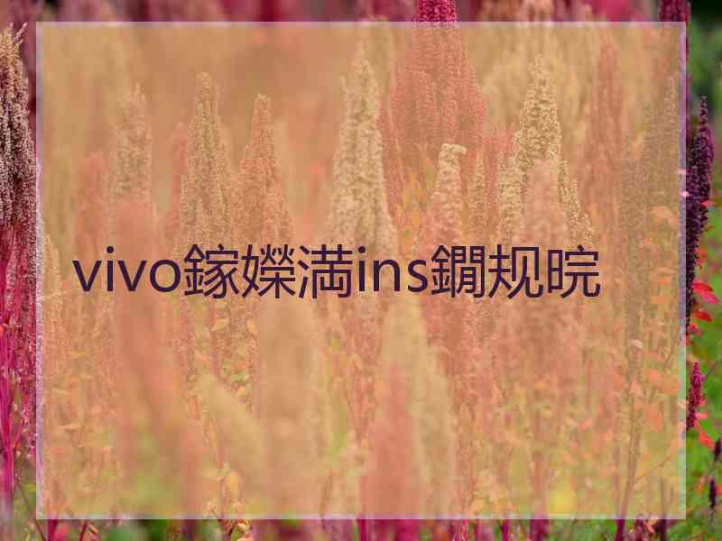 vivo鎵嬫満ins鐗规晥