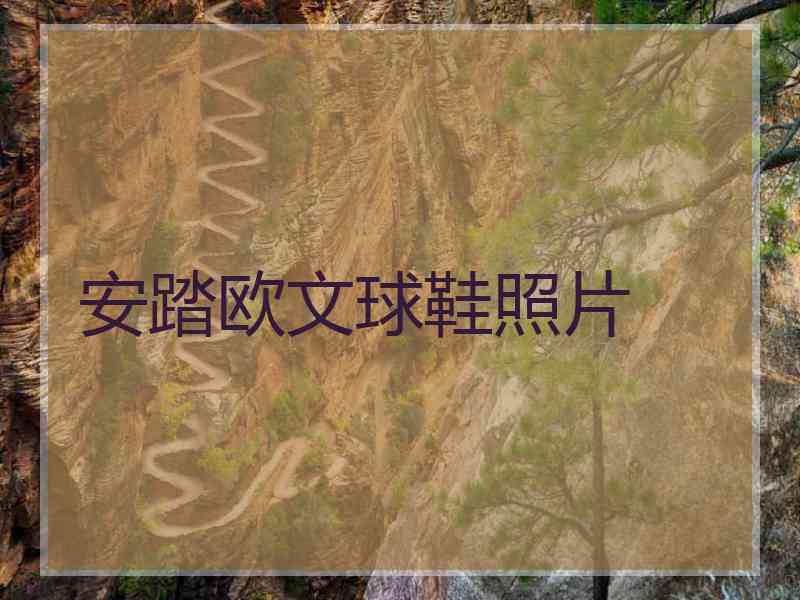 安踏欧文球鞋照片