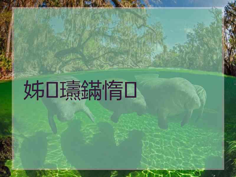 姊瓙鏋惰