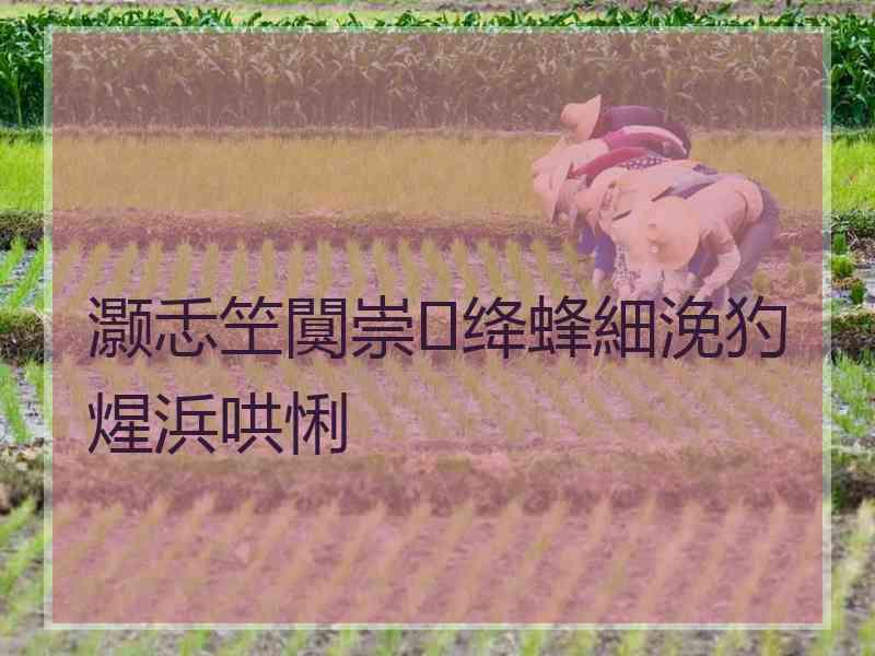 灏忎笁闃崇绛蜂細浼犳煋浜哄悧