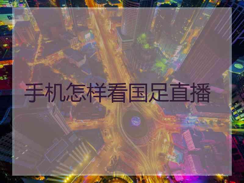 手机怎样看国足直播