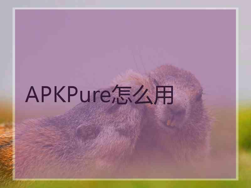 APKPure怎么用