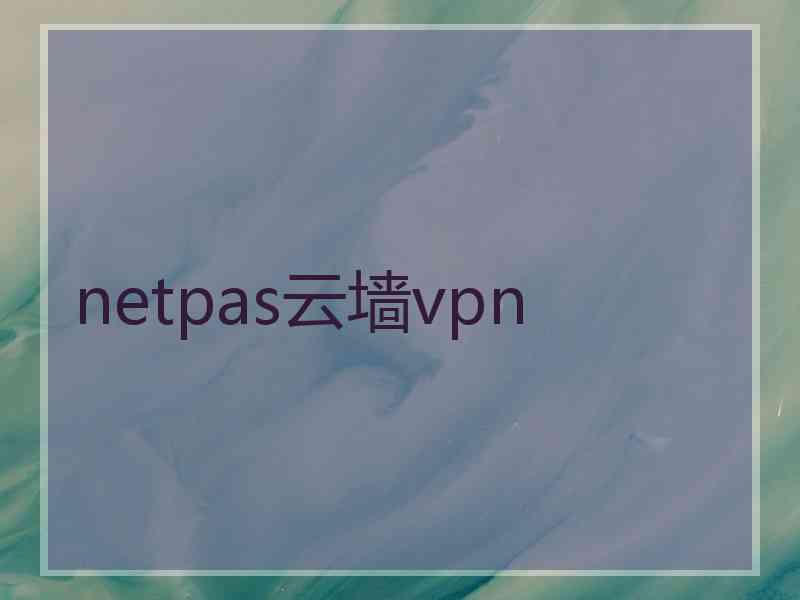 netpas云墙vpn