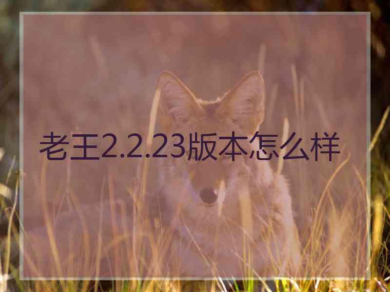 老王2.2.23版本怎么样
