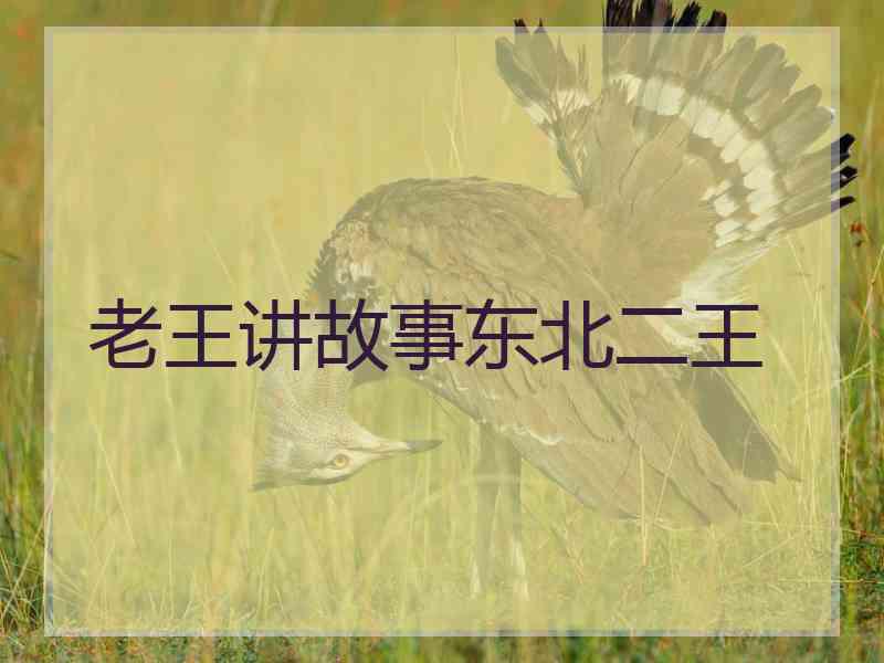 老王讲故事东北二王