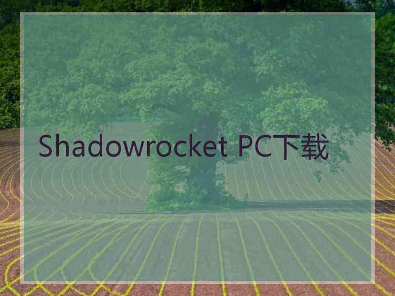 Shadowrocket PC下载