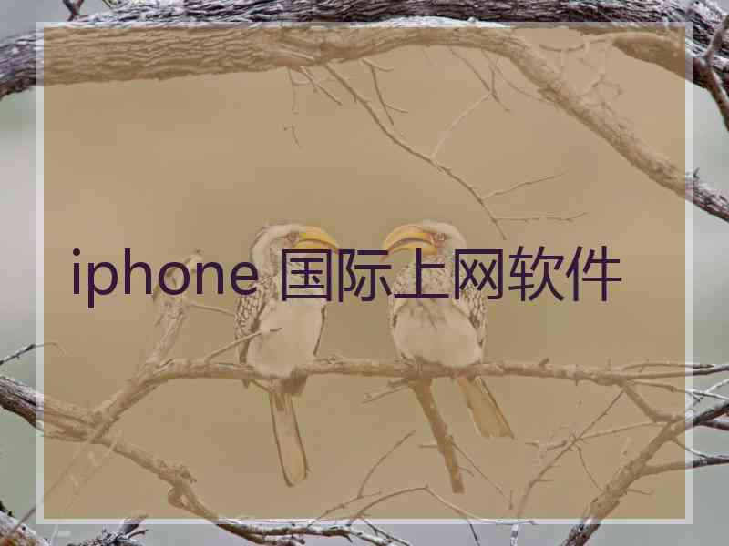iphone 国际上网软件