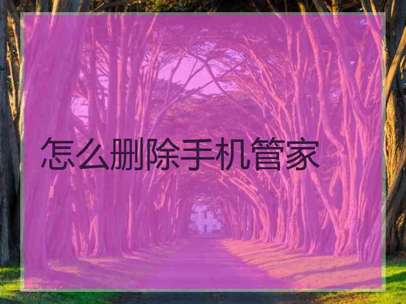 怎么删除手机管家