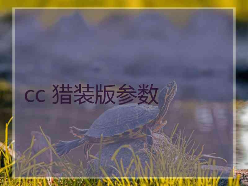 cc 猎装版参数