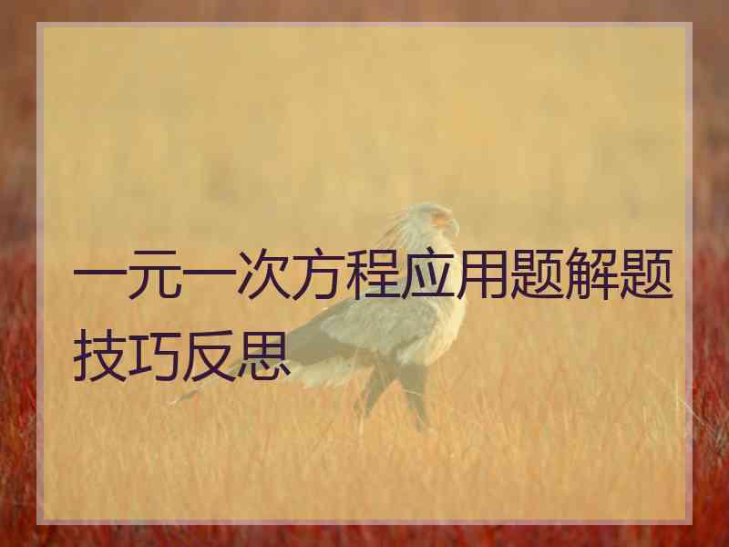 一元一次方程应用题解题技巧反思