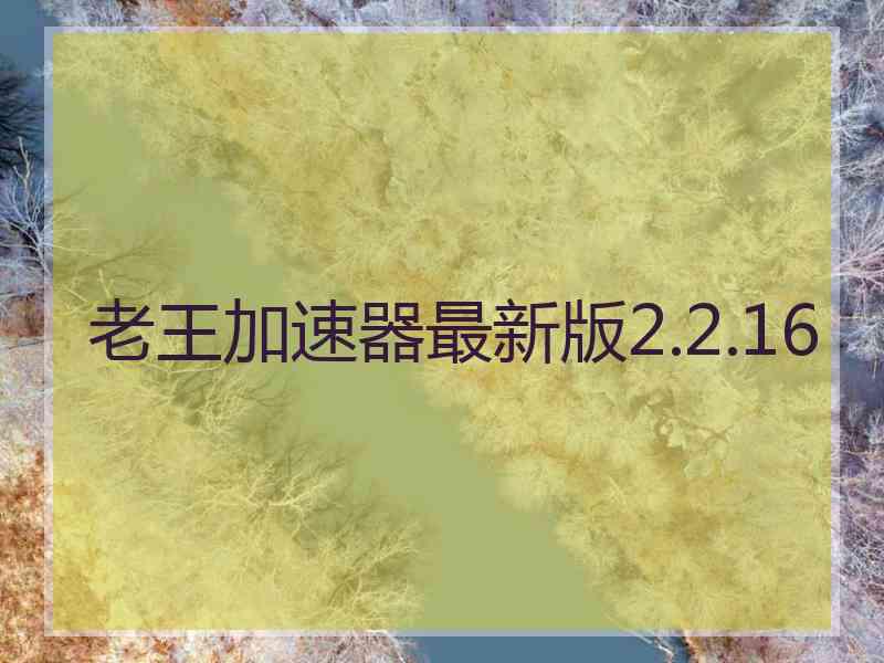 老王加速器最新版2.2.16