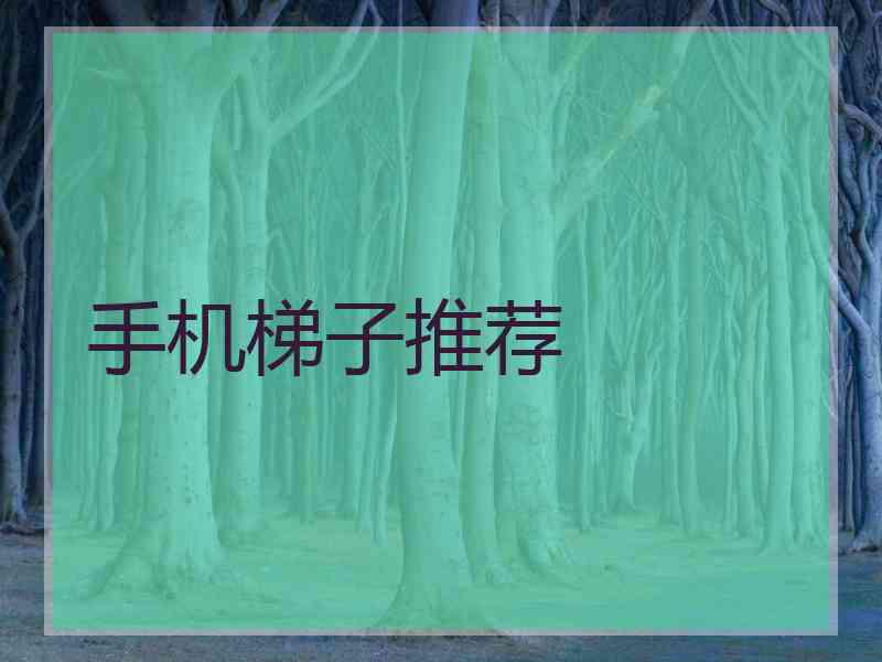 手机梯子推荐
