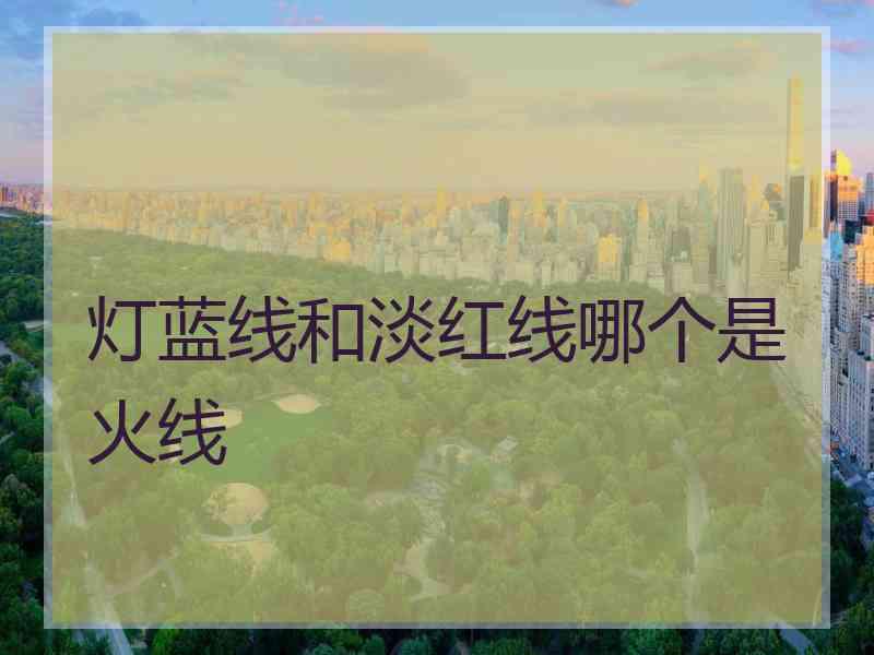 灯蓝线和淡红线哪个是火线