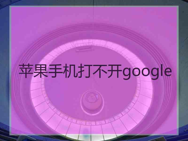 苹果手机打不开google