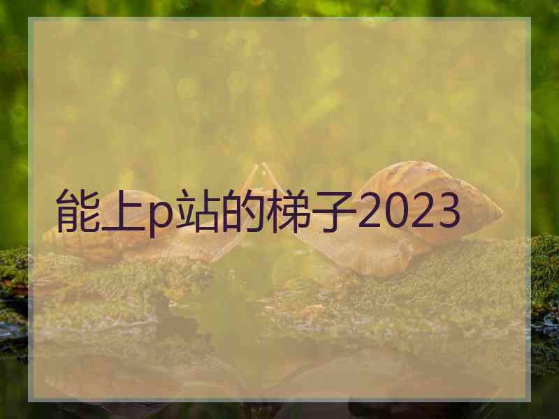 能上p站的梯子2023
