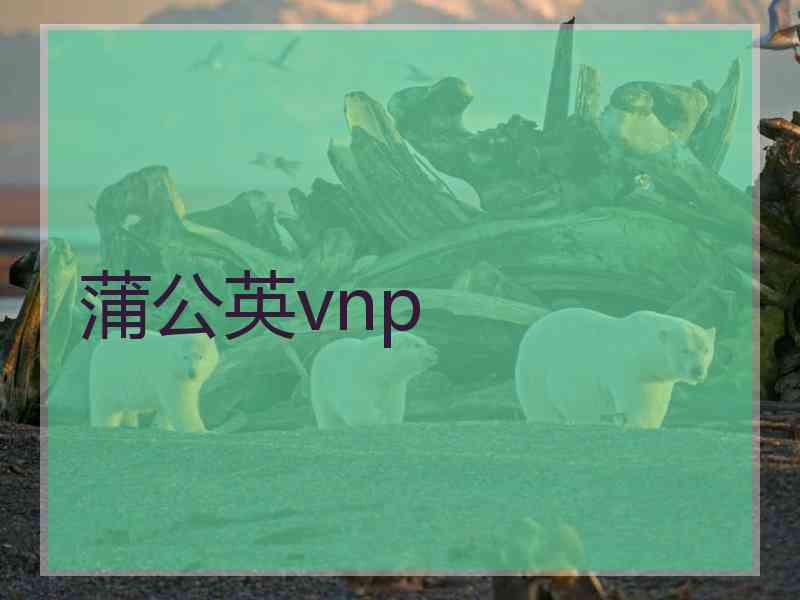 蒲公英vnp