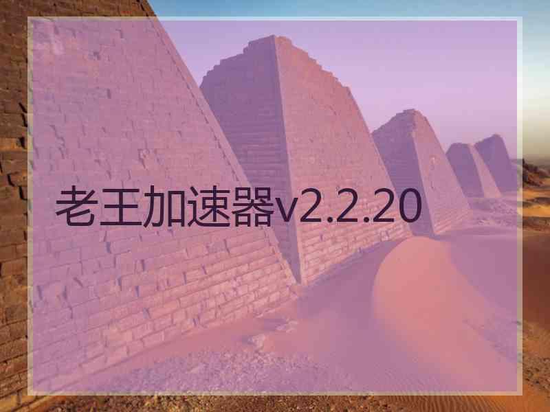 老王加速器v2.2.20