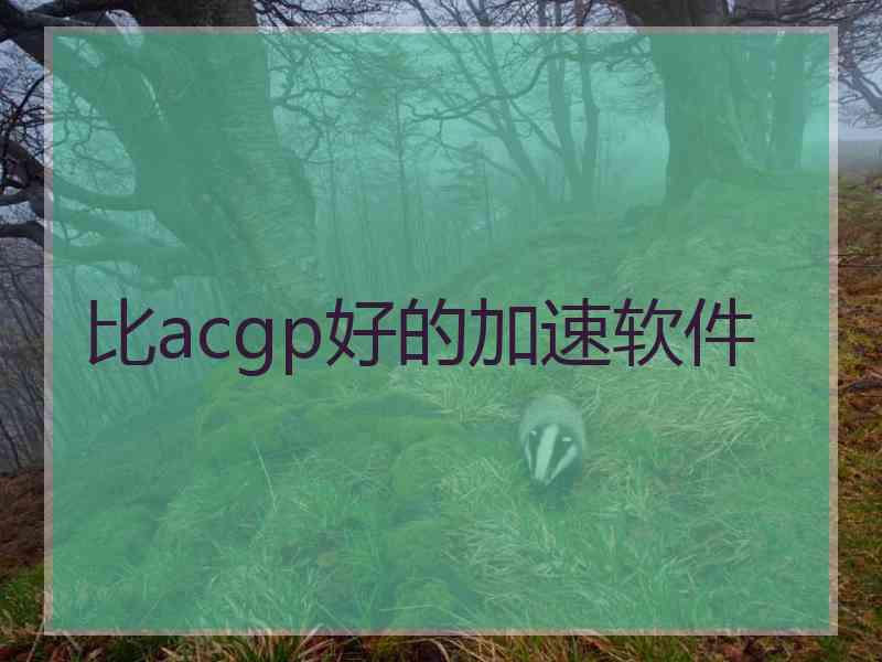 比acgp好的加速软件