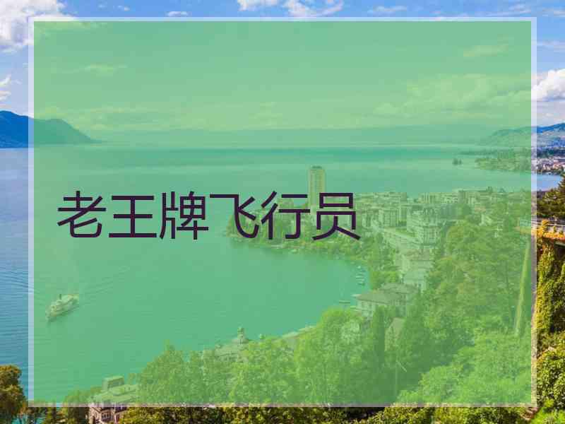 老王牌飞行员