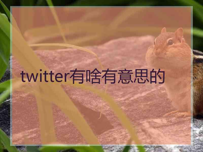 twitter有啥有意思的