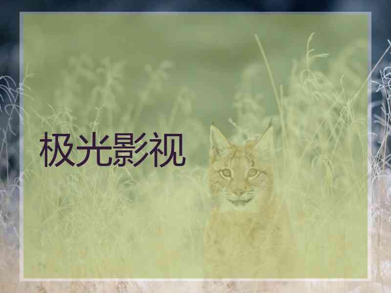 极光影视