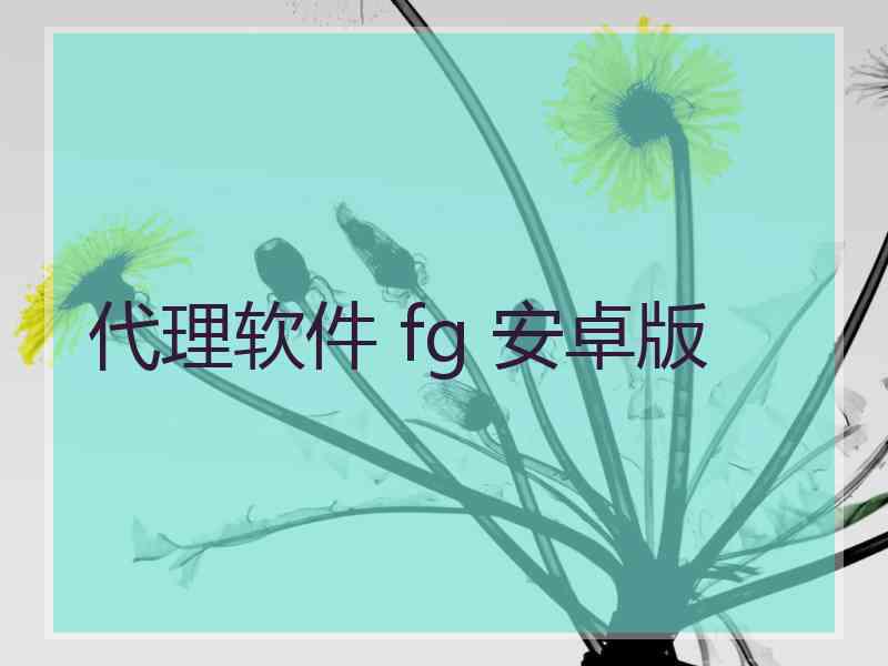 代理软件 fg 安卓版