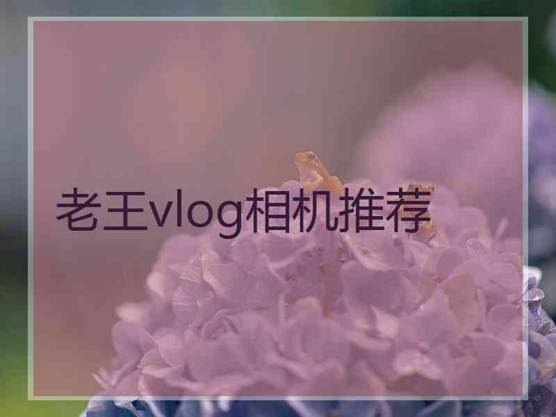 老王vlog相机推荐