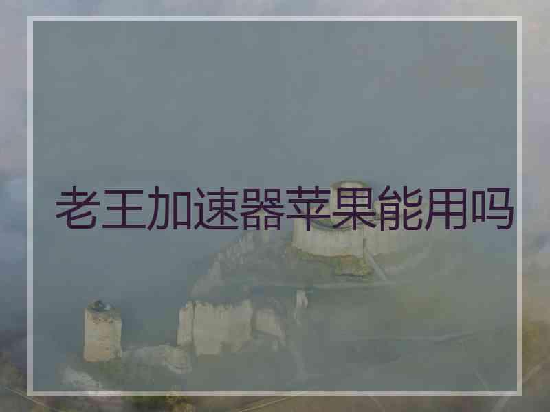 老王加速器苹果能用吗