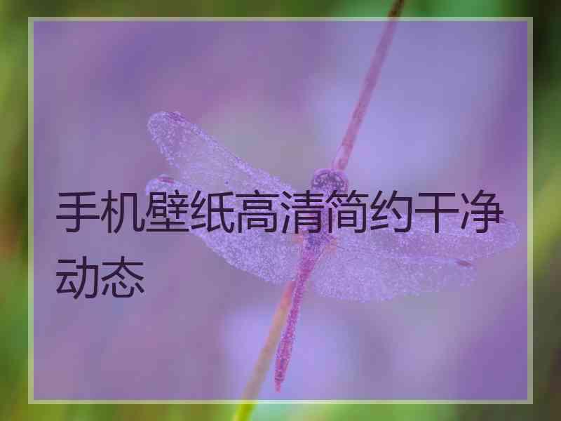 手机壁纸高清简约干净动态