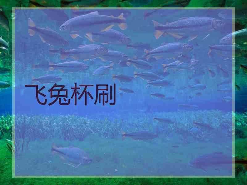 飞兔杯刷