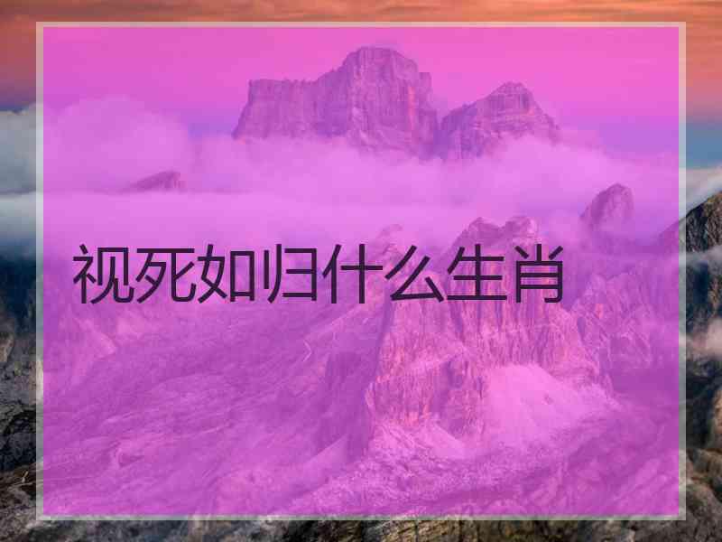 视死如归什么生肖