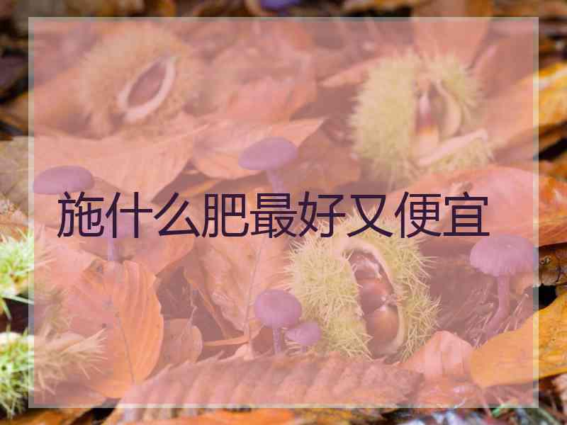 施什么肥最好又便宜