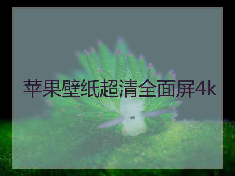 苹果壁纸超清全面屏4k