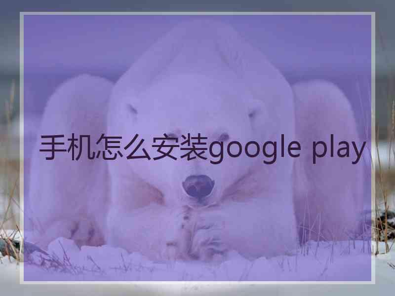 手机怎么安装google play