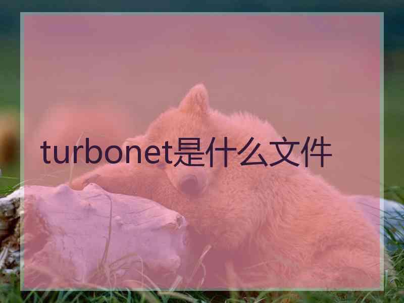turbonet是什么文件