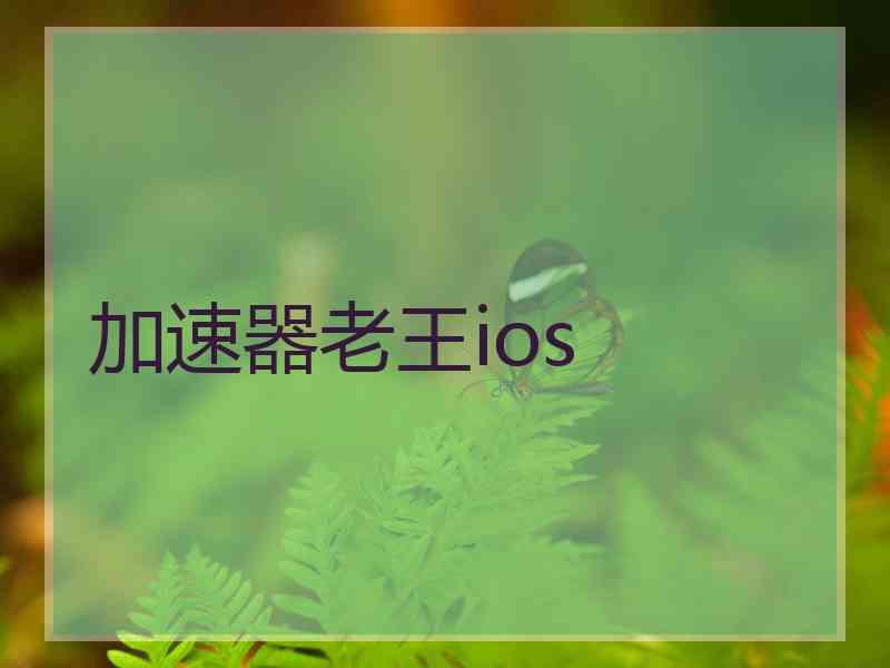 加速器老王ios