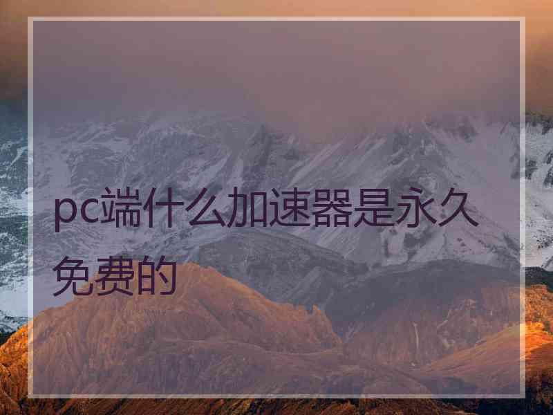 pc端什么加速器是永久免费的