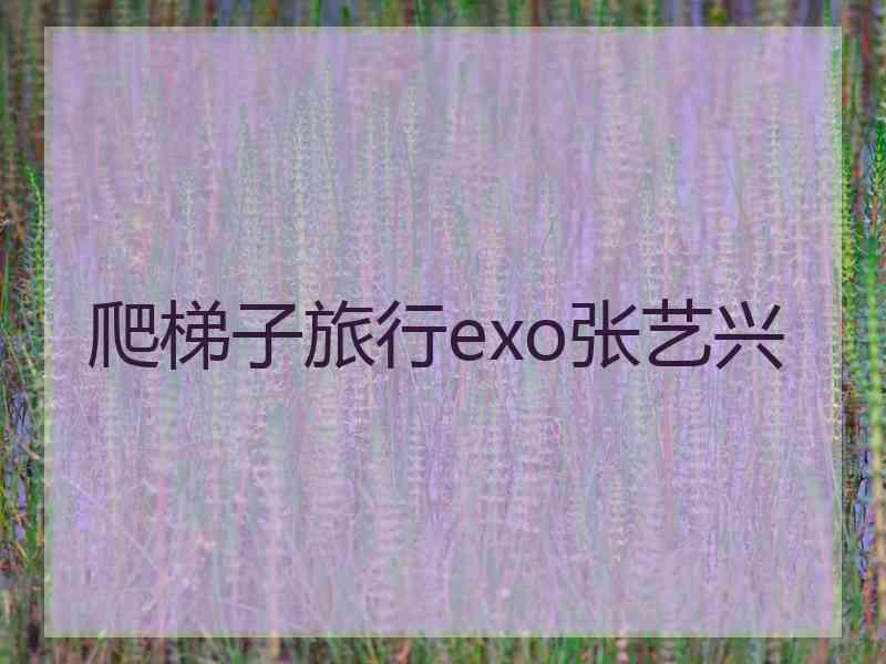 爬梯子旅行exo张艺兴