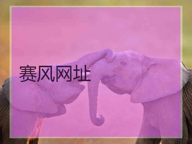 赛风网址